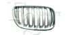 EQUAL QUALITY G1652 Radiator Grille